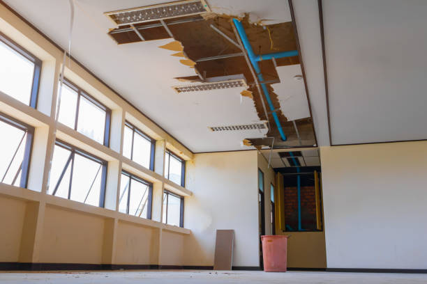 Best Water damage restoration near me  in Hoffman Estates, IL