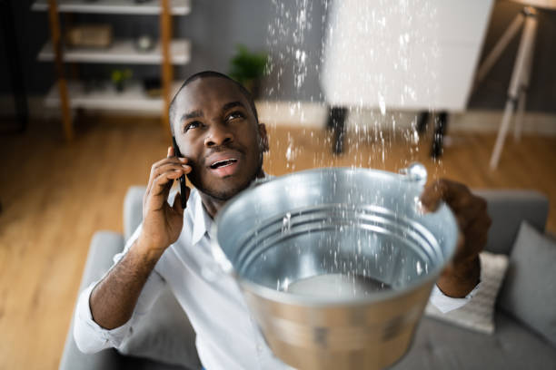 Best Local water damage restoration  in Hoffman Estates, IL