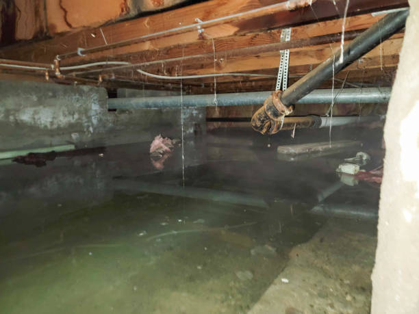 Best 24/7 water damage repair  in Hoffman Estates, IL