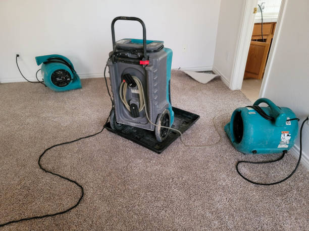 Best Carpet water damage restoration  in Hoffman Estates, IL