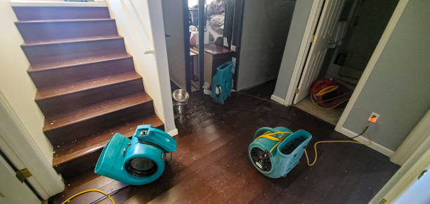 Best Emergency water damage restoration  in Hoffman Estates, IL