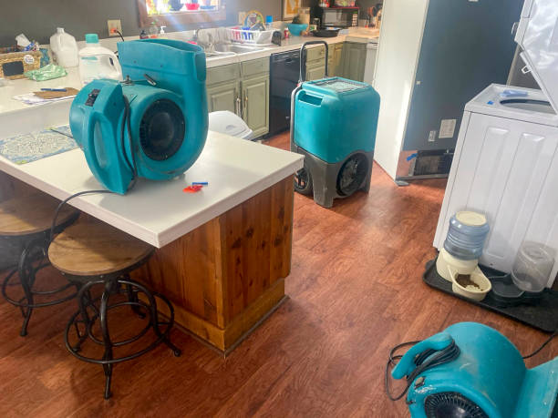 Professional Water damage restoration in Hoffman Estates, IL
