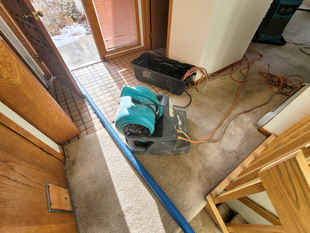 Best 24/7 water damage repair  in Hoffman Estates, IL