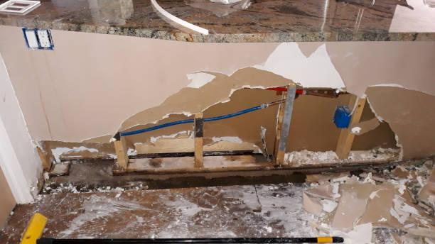 Best 24/7 water damage repair  in Hoffman Estates, IL