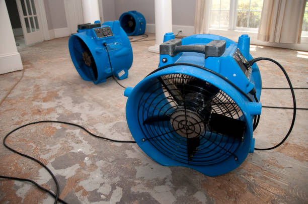 Best Water damage restoration services  in Hoffman Estates, IL