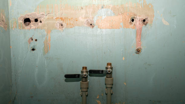 Best Mold removal after water damage  in Hoffman Estates, IL