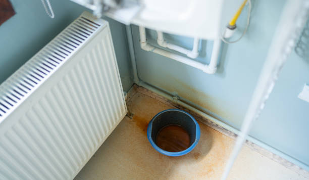 Best Flood damage cleanup  in Hoffman Estates, IL