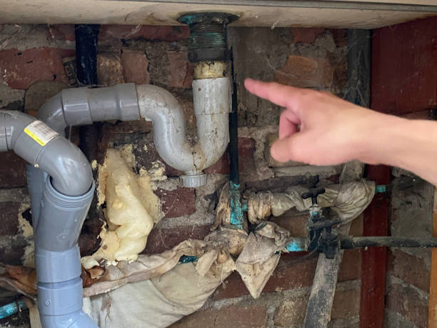 Best Carpet water damage restoration  in Hoffman Estates, IL