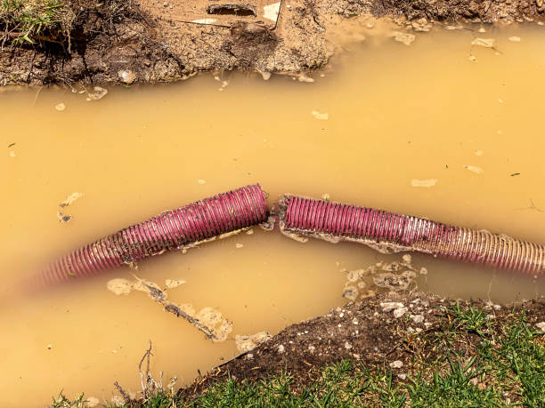 Best Local water damage restoration  in Hoffman Estates, IL